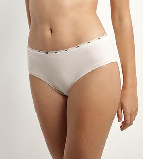 DIM ICONS MIDI BRIEF